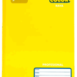 (ESPECIAL) CUADERNO NORMA PROFESIONAL COLOR 360 COSIDO RAYA C/100 HOJAS