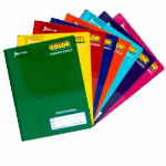 CUADERNO NORMA PROFESIONAL COLOR 360 COSIDO CUADRO 5 C/100 HOJAS