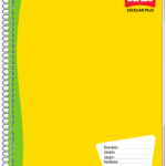 (ESPECIAL) CUADERNO SCRIBE PROF. ESCOLAR RAYA C/100H