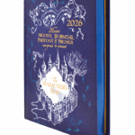 AGENDA DANPEX DIARIA HARRY POTTER 2026 AZUL 13 X 18 CM